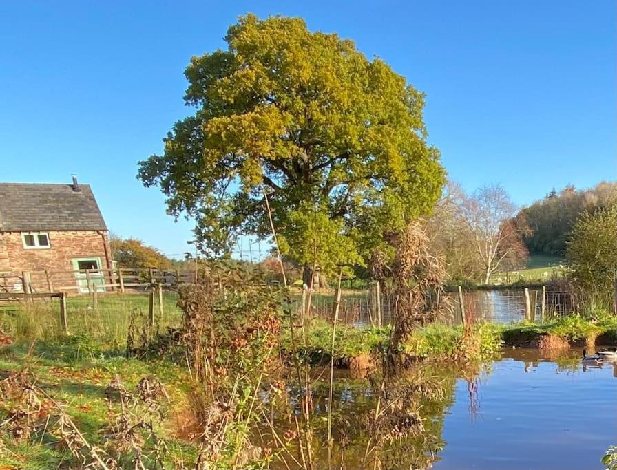 Oaklands Cottage On A Rural Farm Dingestow Extérieur photo